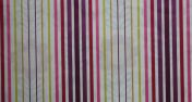 Яркие полосы