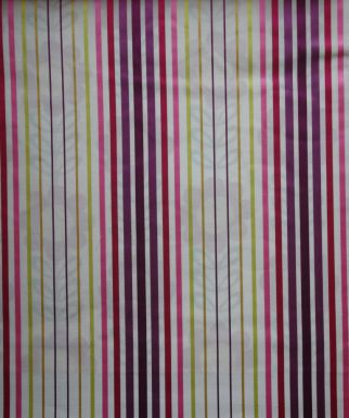 Яркие полосы