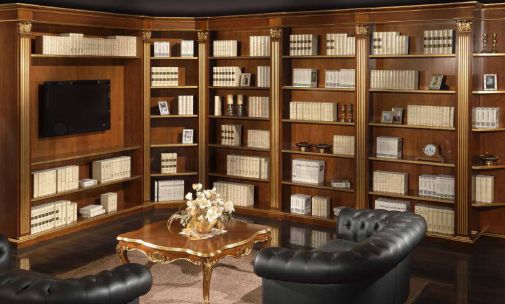 Большой книжный шкаф с полочкой под TV