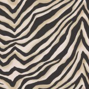 Cape Mountain Zebra - Panther