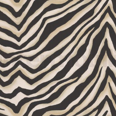 Cape Mountain Zebra - Panther