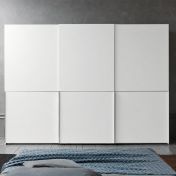 Функциональный шкаф-купе SOFT-3 с модулем для телевизора