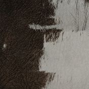 Искуственная кожа SIMILI из коллекции High Tech