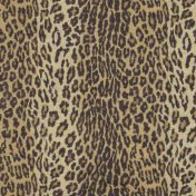 Kano Silk Leopard - Blonde