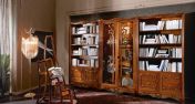 Книжный шкаф, витрина и лестница для кабинета.