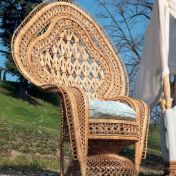 Кресло из коллекции REGENCY