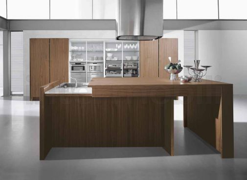 Кухня из коллекции Сontempora с фасадои из натурального дерева