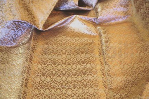 CARLOS BROC. WJI2213 VIO - BRO