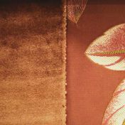 EXTREME 1354 COL.421