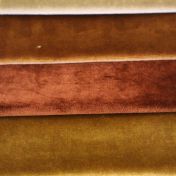 EXTREME 1354 COL.422