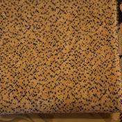 GALLERIA PALATINA 47/52-055