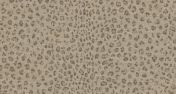 Manketti Leopard - Sand