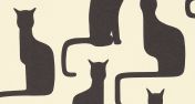 Обои Omega Cats для любителей кошек