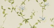 Обои Passion Flower из коллекции Pemberley