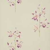 Обои Pollinia из коллекции Options 9