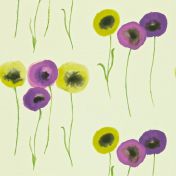 Обои Poppies с изображением цветов мака, коллекции