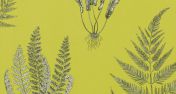 Обои Woodland Ferns из коллекции A Painters Garden