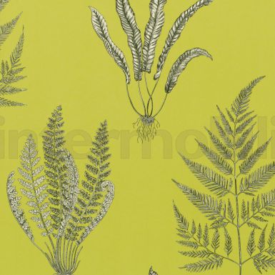 Обои Woodland Ferns из коллекции A Painters Garden