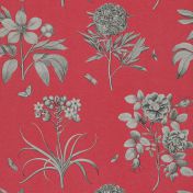 Стильные обои Etchings & Roses