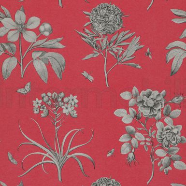 Стильные обои Etchings & Roses