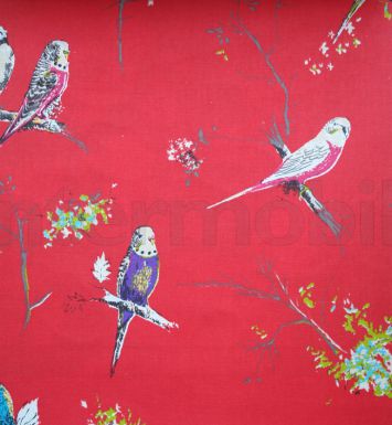 Волнистые попугаи